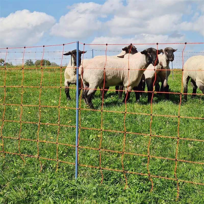 AKO OviNet Premium 50m Schafnetz, Schafzaun, 108cm, 14 Verstärkte Pfähle, 2 Spitzen, Orange – Bild 9