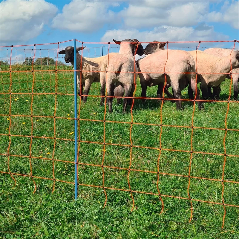 AKO OviNet Premium 50m Schafnetz, Schafzaun, 108cm, 14 Verstärkte Pfähle, 2 Spitzen, Orange – Bild 10