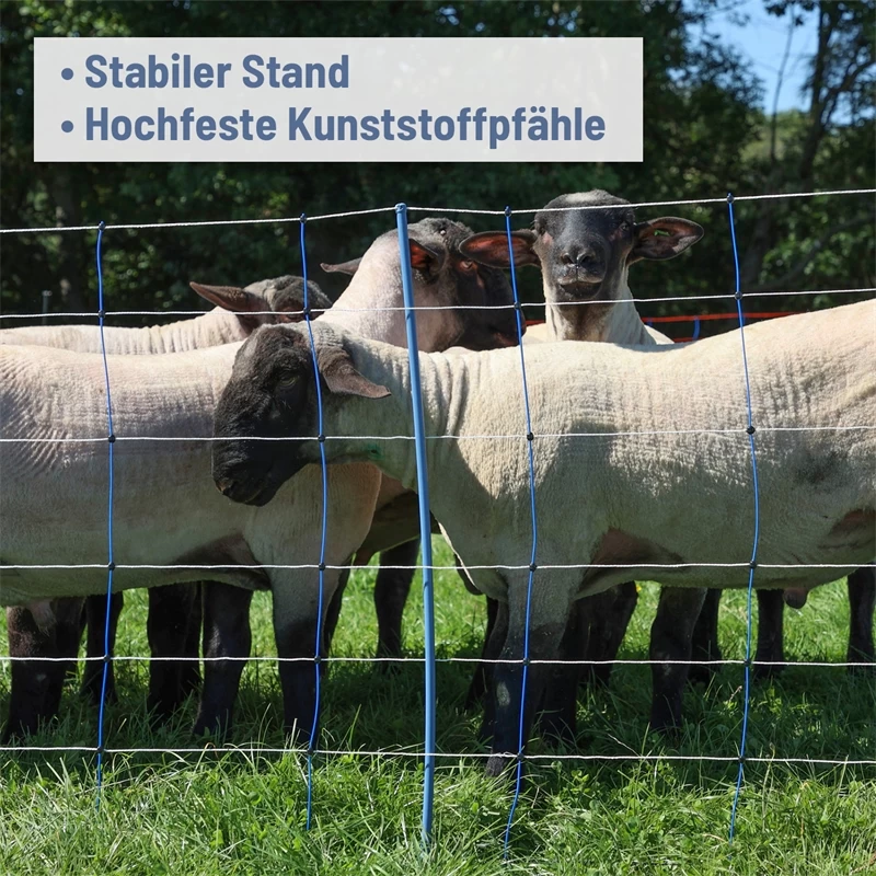 AKO TitanNet Premium Plus 50m Schafnetz 108cm, 14 Verst. Pfähle, 2 Spitz, Starre Streben, Blau-weiß – Bild 3