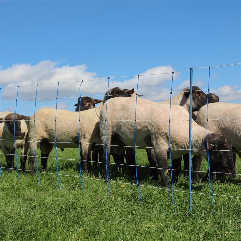 AKO TitanNet Premium Plus 50m Schafnetz 108cm, 14 Verst. Pfähle, 2 Spitz, Starre Streben, Blau-weiß – Bild 9