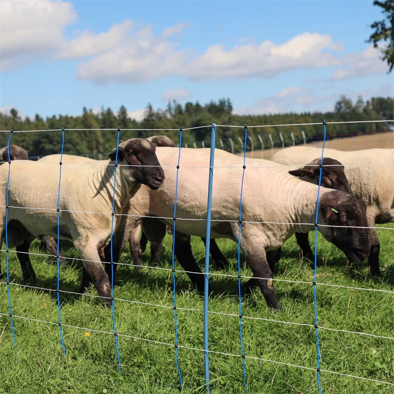 AKO TitanNet Premium Plus 50m Schafnetz 108cm, 14 Verst. Pfähle, 2 Spitz, Starre Streben, Blau-weiß – Bild 12
