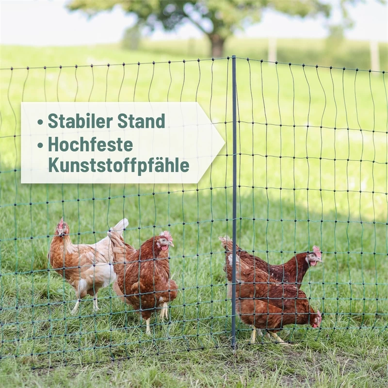 AKO PoultryNet Premium 50m Hühnerzaun, Geflügelnetz, 106cm, 15 Verstärkte Pfähle, 2 Spitzen, Grün – Bild 3