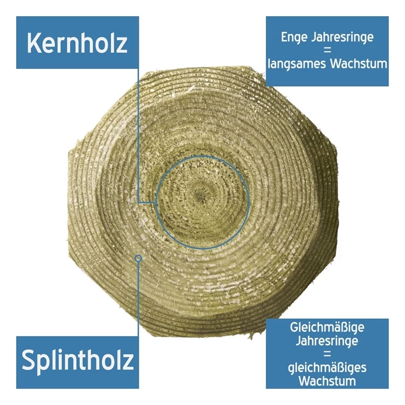Octo-Wood Festzaunpfahl 250cm X 140mm – Bild 3