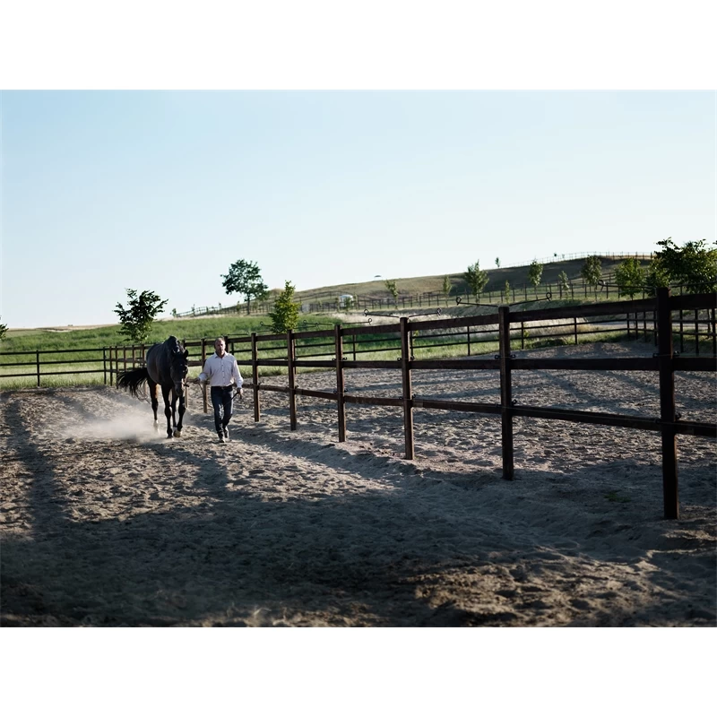 Octo Paddock Komplettsystem 60 X 20m – Bild 5