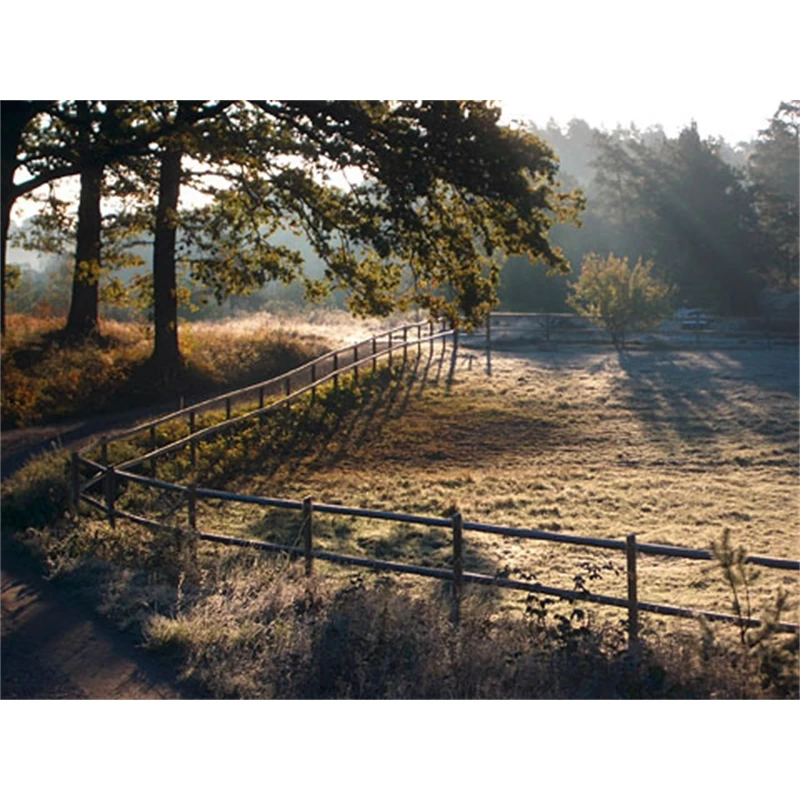 Octo Paddock Komplettsystem 60 X 20m – Bild 2