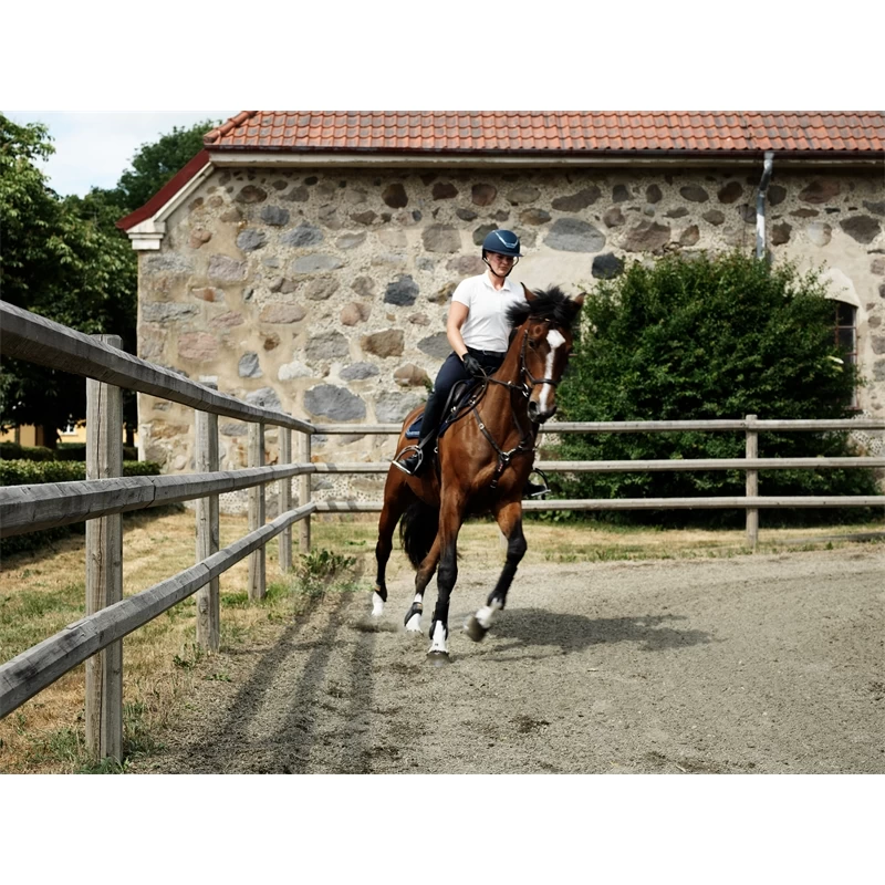 Octo Paddock Komplettsystem 60 X 20m – Bild 6