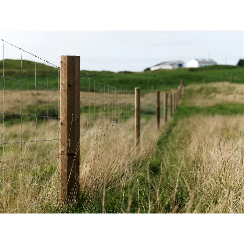 Octo-Wood Festzaunpfahl 250cm X 140mm – Bild 4