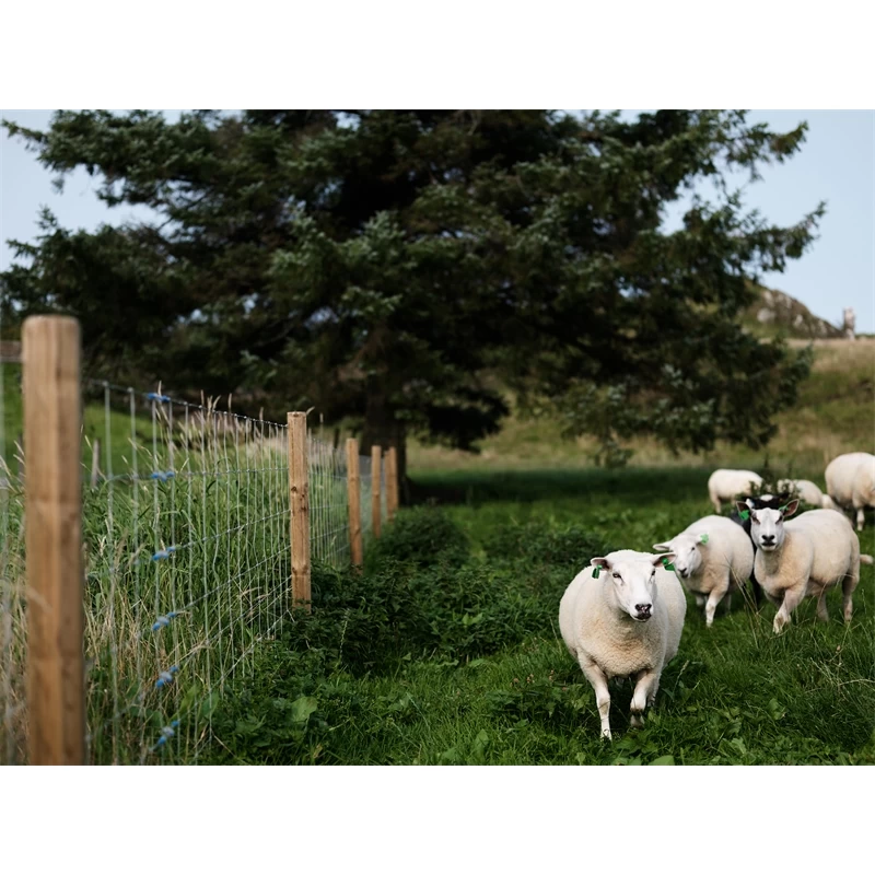 Octo-Wood Festzaunpfahl 250cm X 140mm – Bild 5