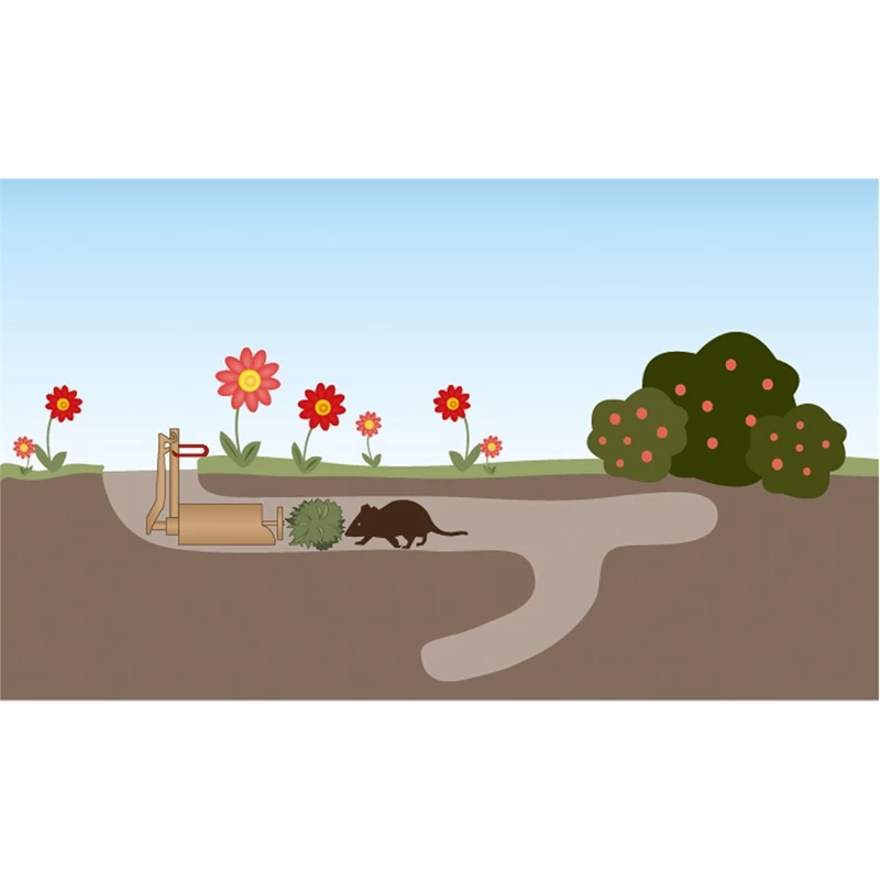 2x Kieferle W2 Wühlmausschussfalle + 50x Kartuschen + Lockmittel + Öl – Bild 4