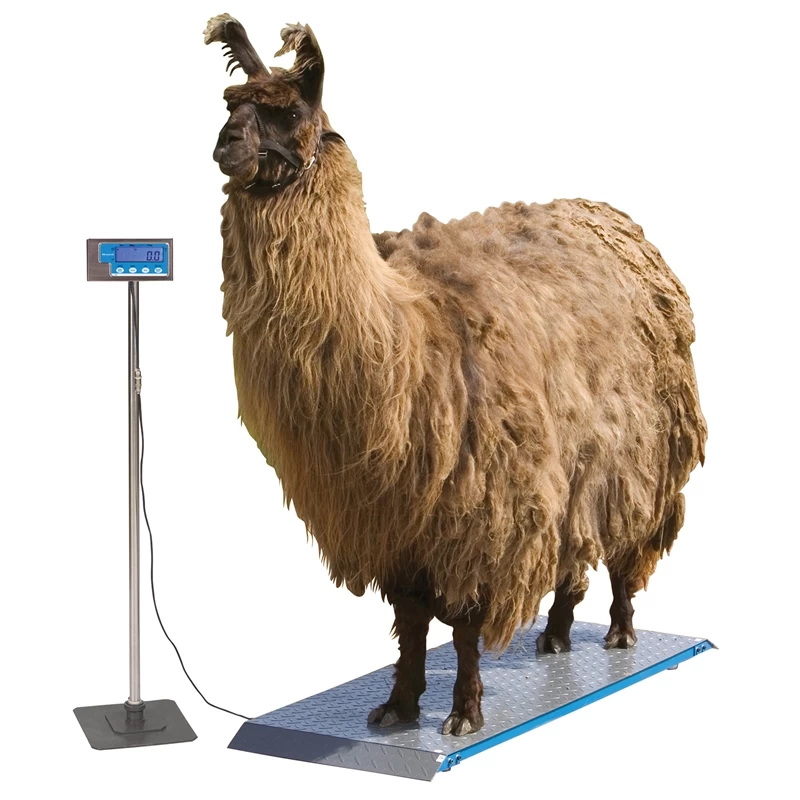 Tierwaage PS 1000, Bodenwaage Bis 500kg – Bild 4