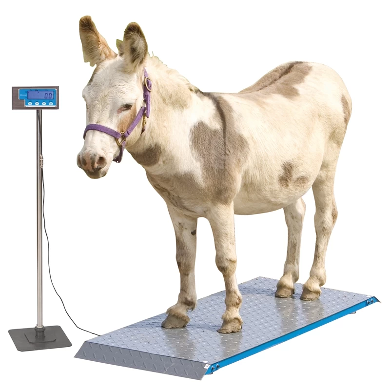 Tierwaage PS 1000, Bodenwaage Bis 500kg – Bild 5