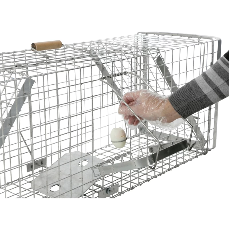 Lebendfalle Mit Schnapptüren - Kastenfalle Für Dachse Und Füchse, 33x42x118cm – Bild 3