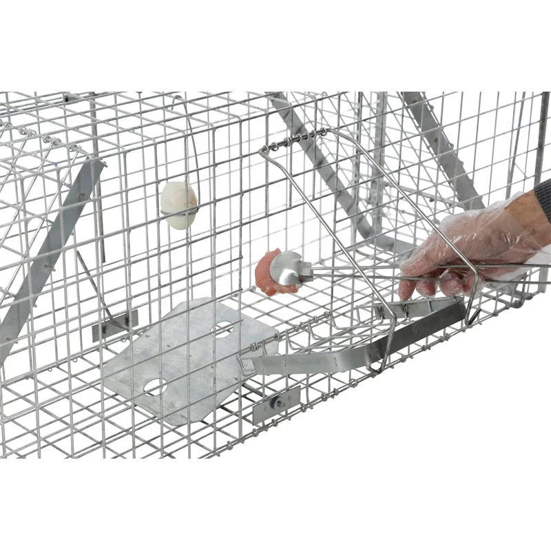 Lebendfalle Mit Schnapptüren - Kastenfalle Für Dachse Und Füchse, 33x42x118cm – Bild 7