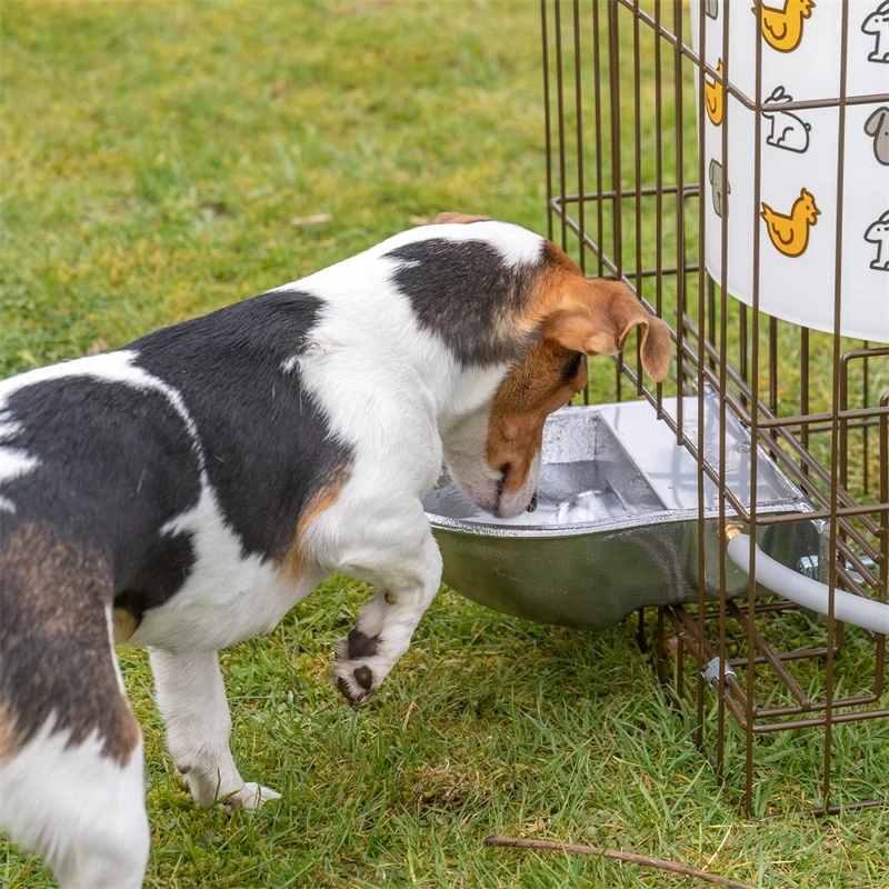 Automatiktränke Mit Alu Trinkschale, Inkl. Metallgestell & Tank 32 / 55 Liter – Bild 11
