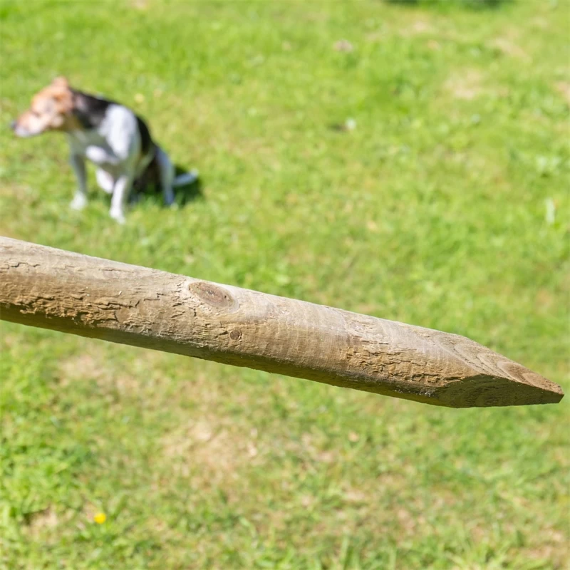 VOSS.farming Zaunset, Gartenzaun-SET: Volierendraht 10mx100cm + 8x Holzpfähle – Bild 12