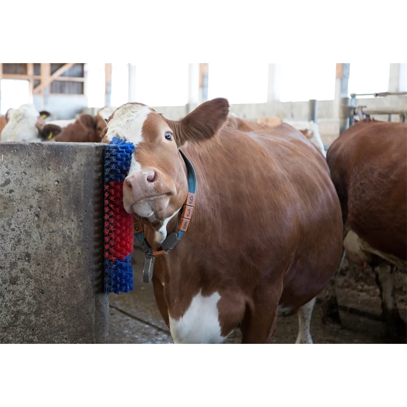 KERBL Halbrunde Kratzbürste – Bild 3