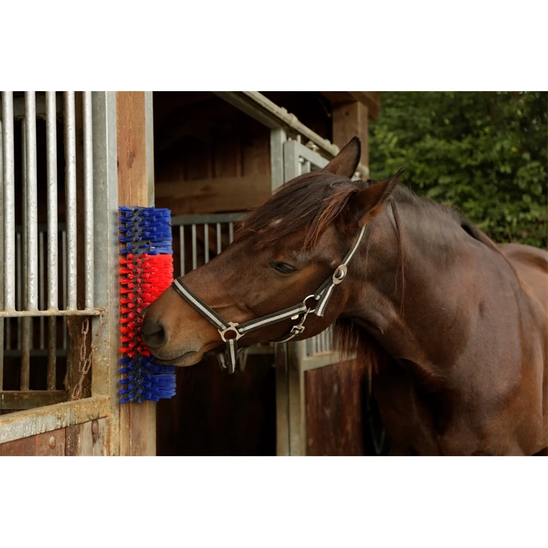 KERBL Halbrunde Kratzbürste – Bild 4