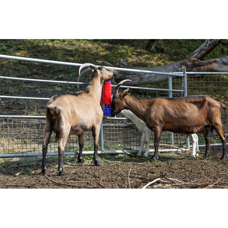 KERBL Halbrunde Kratzbürste – Bild 5