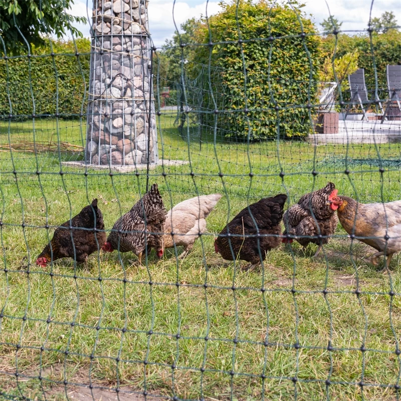 VOSS.farming FarmNET+ 50m Hühnerzaun, Geflügelnetz, 112cm, 20 Pfähle, 2 Spitzen, Grün – Bild 5