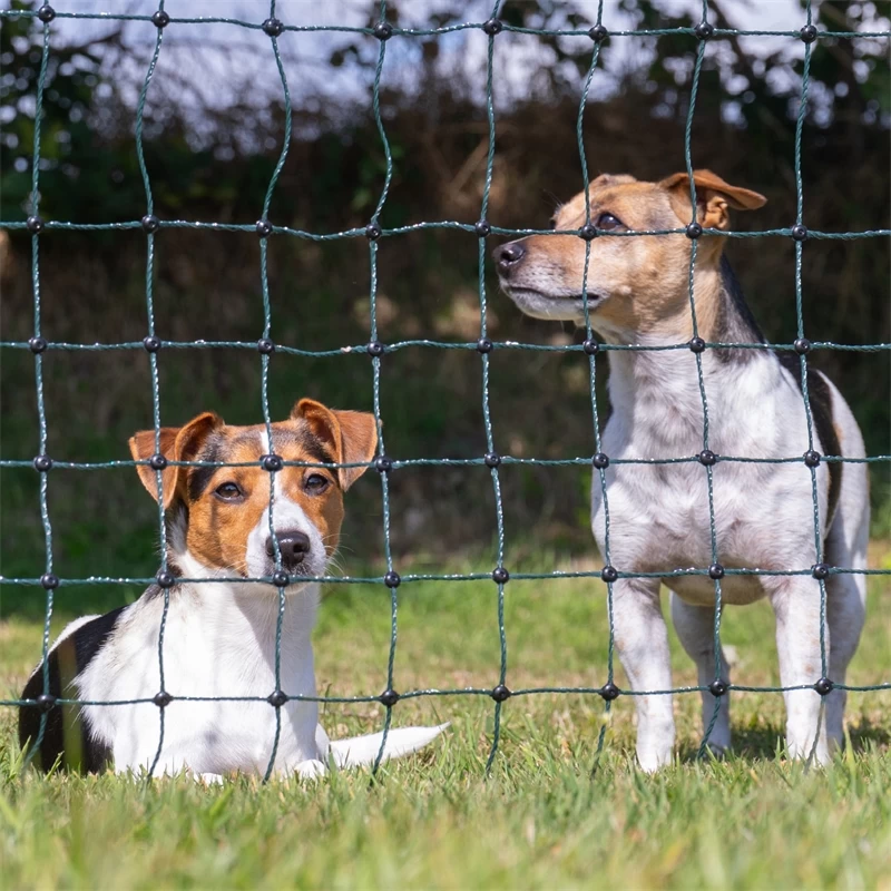 VOSS.farming FarmNET 15m Hühnerzaun, Geflügelnetz, 112cm, 6 Pfähle, 2 Spitzen, Grün – Bild 18